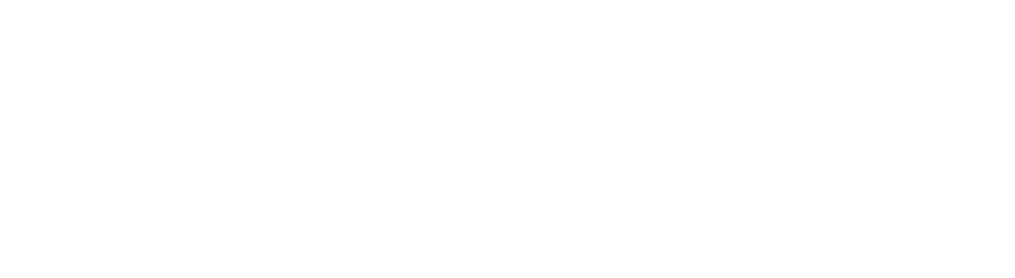 LOGO 2017
